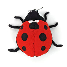 Load image into Gallery viewer, Ladybug
