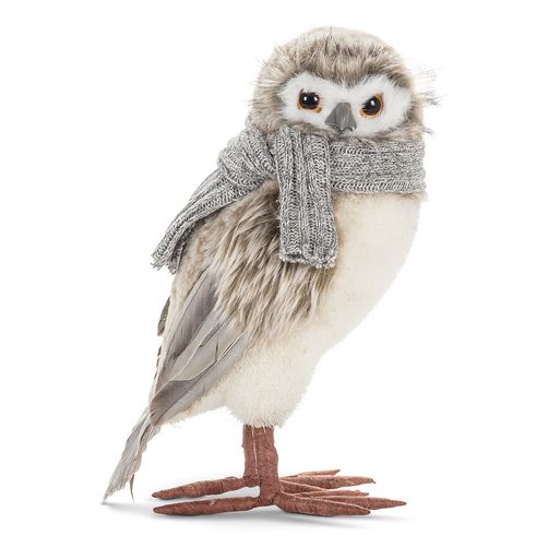 Owl With Scarf