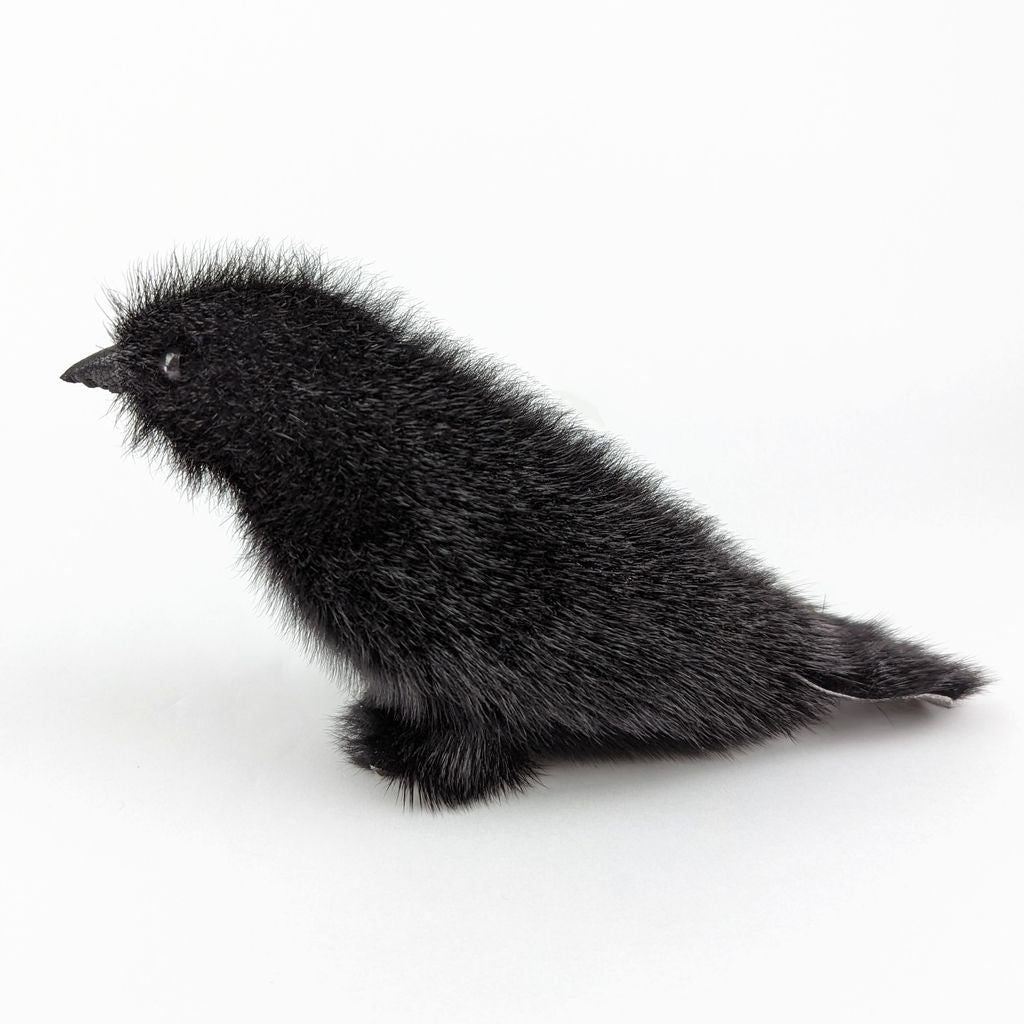 Sealskin Raven